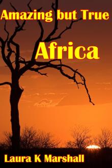 Amazing but True - Africa Adventure Book 1
