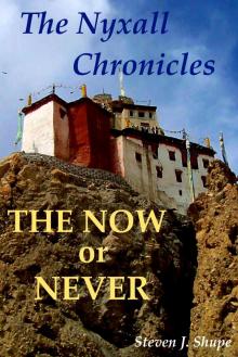 The Nyxall Chronicles:  The Now or Never