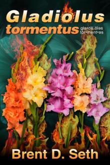 Gladiolus tormentus