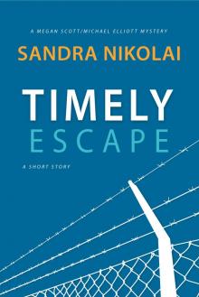 Timely Escape (A Short Story)