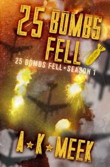 25 Bombs Fell: A Post-Apocalyptic EMP Survival Series, 25BF Season 1