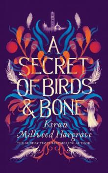 A Secret of Birds & Bone