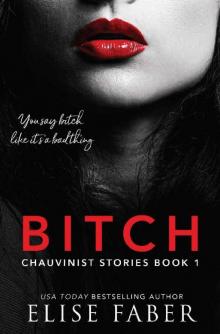 Bitch (Chauvinist Stories Book 1)