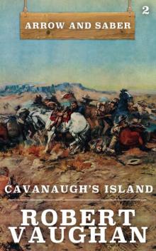 Cavanaugh's Island