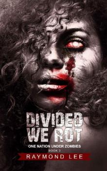 Divided We Rot (One Nation Under Zombies Book 3)