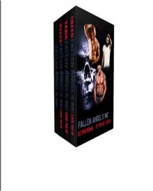 Fallen Angel's MC Box Set