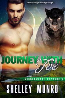 Journey with Joe (Middlemarch Capture Book 5)