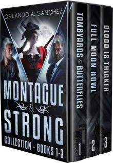 Montague & Strong Detective Novels Box Set: Montague & Strong Detective Novels Books, 1 through 3 (Montague & Strong Case Files)