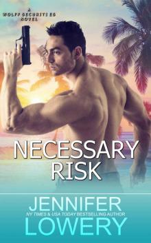 Necessary Risk: Wolff Securities Book 4