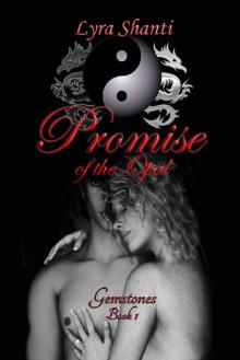 Promise of the Opal (Gemstones Book 1)