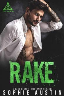 Rake: A Dark Boston Irish Mafia Romance (The Carneys Book 1)