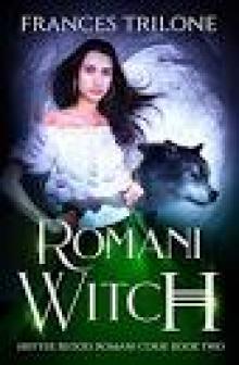 Romani Witch (Shifter Blood: Romani Curse Book 2)