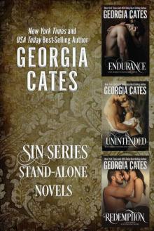 Sin Series Stand-alone Novels Bundle: Endurance, Unintended, and Redemption