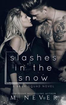 Slashes in the Snow : A Baum Squad novel