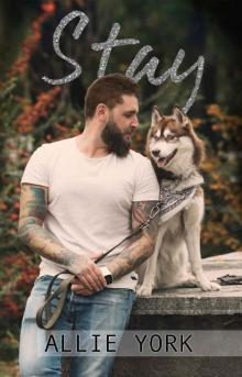 Stay: A Shores Novella (The Shores Book 2)