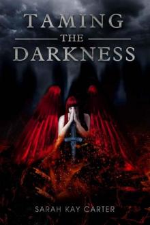 Taming the Darkness