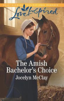 The Amish Bachelor's Choice