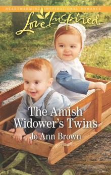 The Amish Widower's Twins