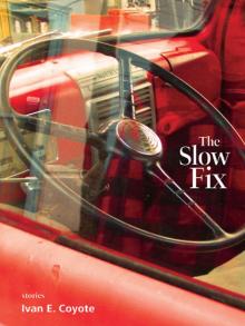 The Slow Fix