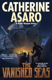 The Vanished Seas (Major Bhaajan series Book 3)