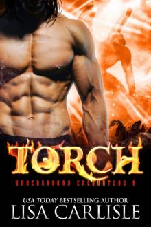 TORCH: Underground Encounters 9