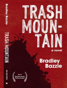 Trash Mountain