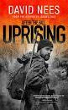 Uprising: Book 2 in the After the Fall Series