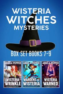 Wisteria Witches Mysteries Box Set 3