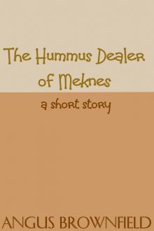 The Hummus Dealer of Meknes, a short story