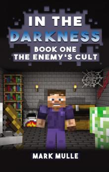 In the Darkness (Book 1): The Enemy's Cult