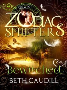 Bewitched: A Zodiac Shifters Paranormal Romance: Gemini (Willows Haven Book 2)