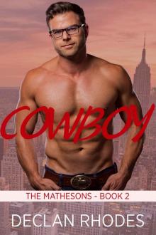 Cowboy: The Mathesons - Book 2