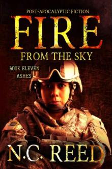 Fire From The Sky | Book 11 | Ashes