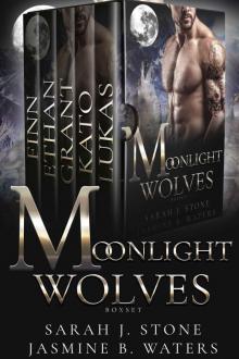 Moonlight Wolves Box Set