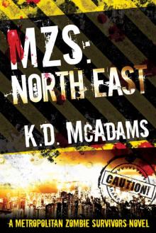 MZS- North East