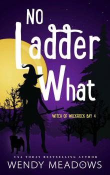 No Ladder What (Witch of Wickrock Bay Book 4)