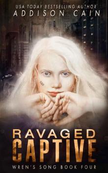 Ravaged Captive: A Reverse Harem Omegaverse Dark Romance (Wren's Song Book 4)