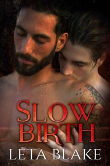 Slow Birth