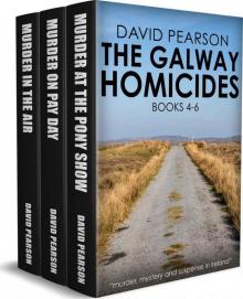 The Galway Homicides Box Set 2