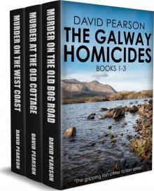 The Galway Homicides Box Set