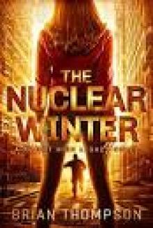 The Nuclear Winter