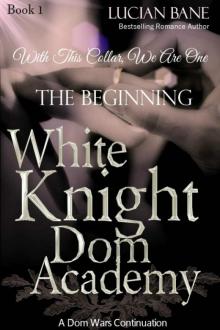 White Knight Dom Academy