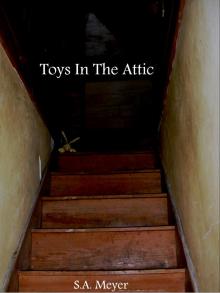 Toys In The Attic