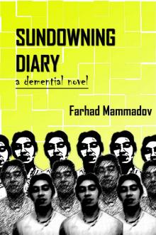 Sundowning Diary - part 2