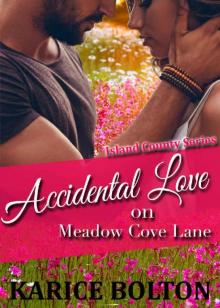 Accidental Love on Meadow Cove Lane (Island County Series Book 10)