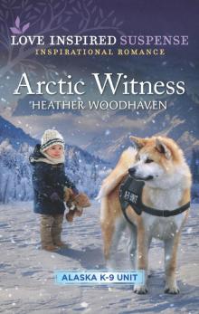 Arctic Witness