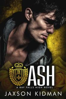 ASH: a bay falls high novel