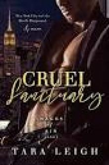 Cruel Sanctuary (Wages of Sin Book 1)