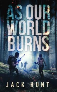 Cyber Apocalypse (Book 3): As Our World Burns
