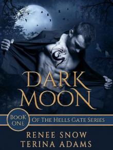 Dark Moon: Fae/witch paranormal romance (Hells Gate Book 1)